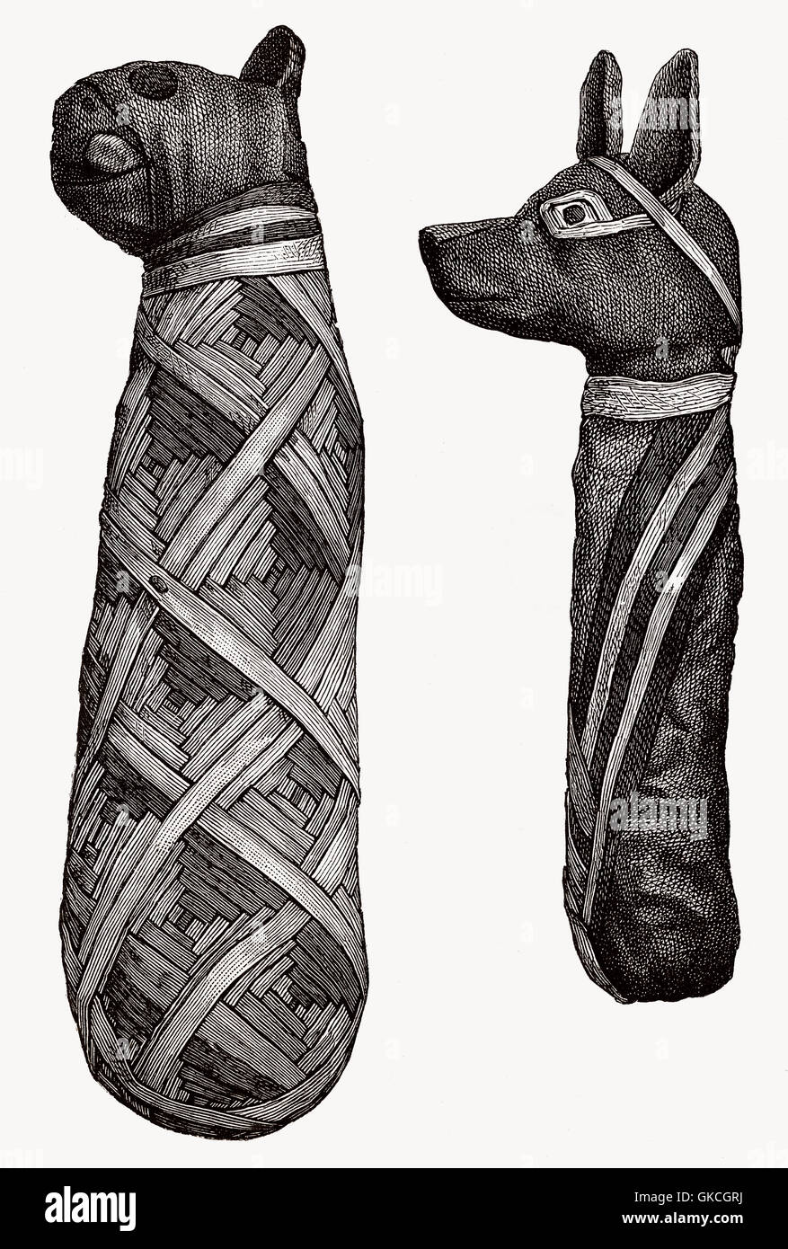 Le mummie di animali, antico Egitto, illustrazione del XIX secolo Foto Stock
