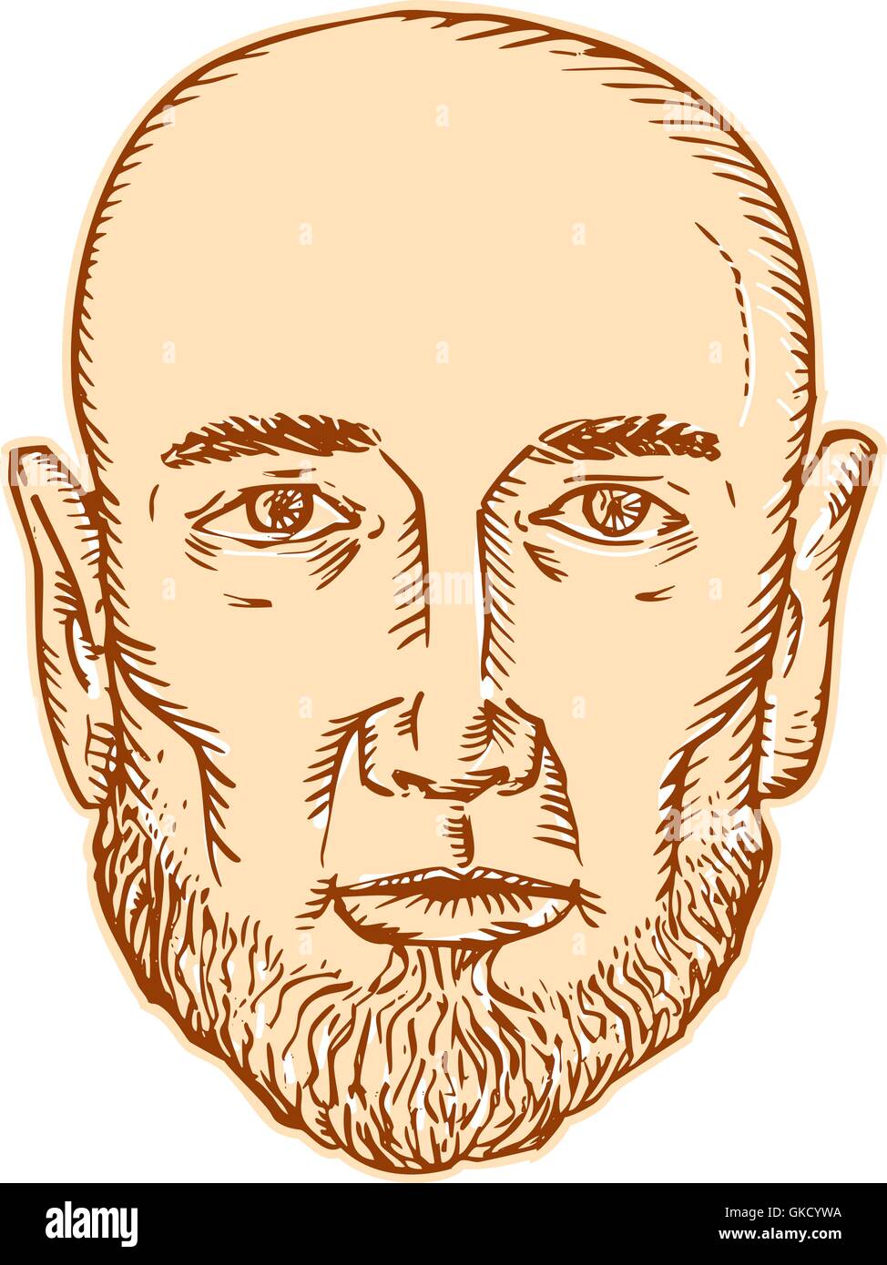 Maschio testa calva barbuto etching Illustrazione Vettoriale