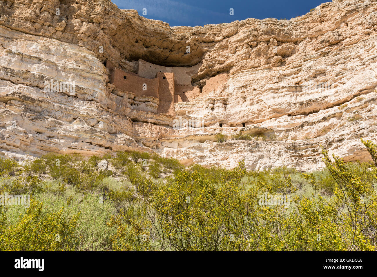 Il giallo di fiori di campo al di sotto della Native American cliff dwellings nel castello di Montezuma monumento nazionale, Arizona Foto Stock