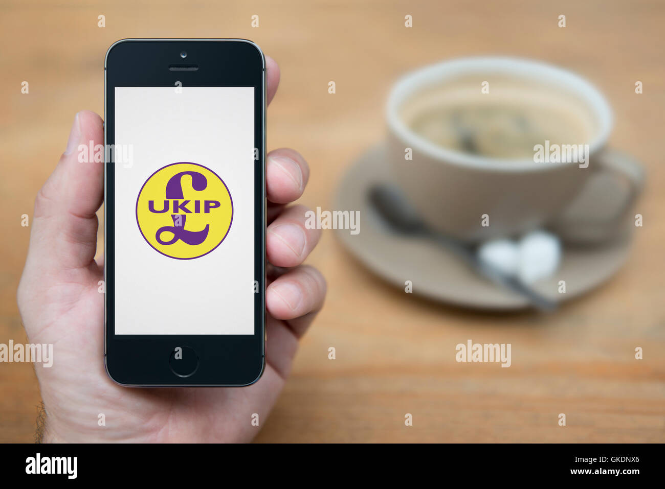 Un uomo guarda al suo iPhone che visualizza il logo dell'UKIP, mentre sat con una tazza di caffè (solo uso editoriale). Foto Stock