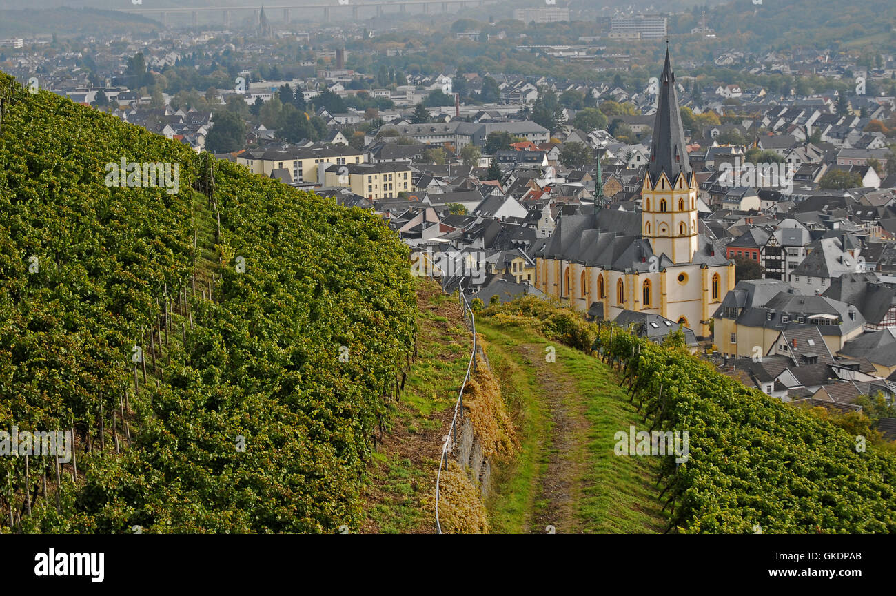 Città comune vigna Foto Stock