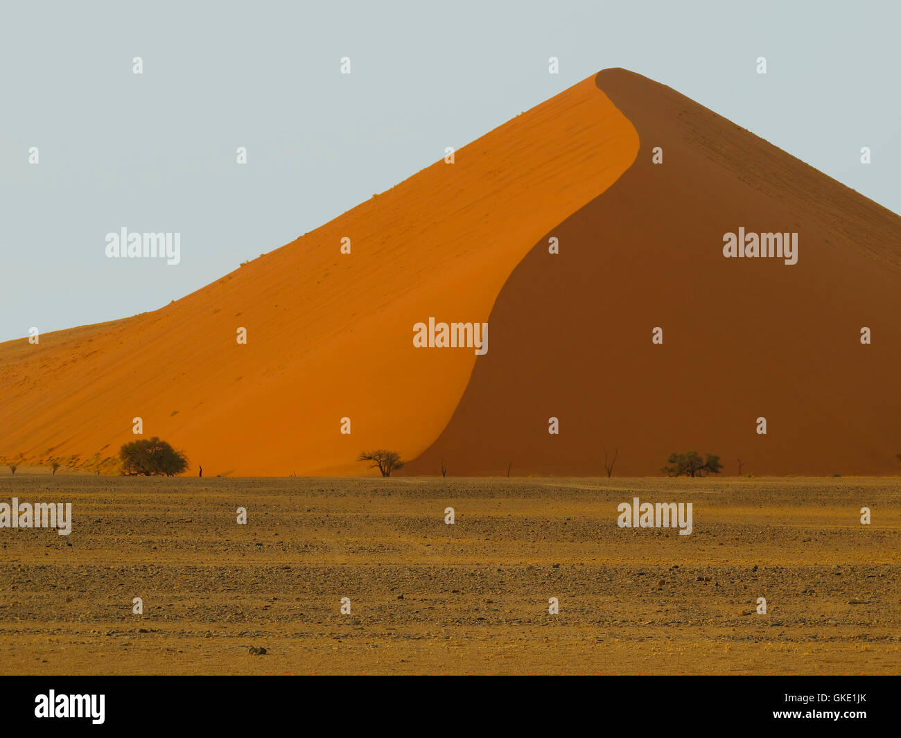 Dune di sabbia in Namib-Nauktuft Parco Nazionale di Namibia Foto Stock