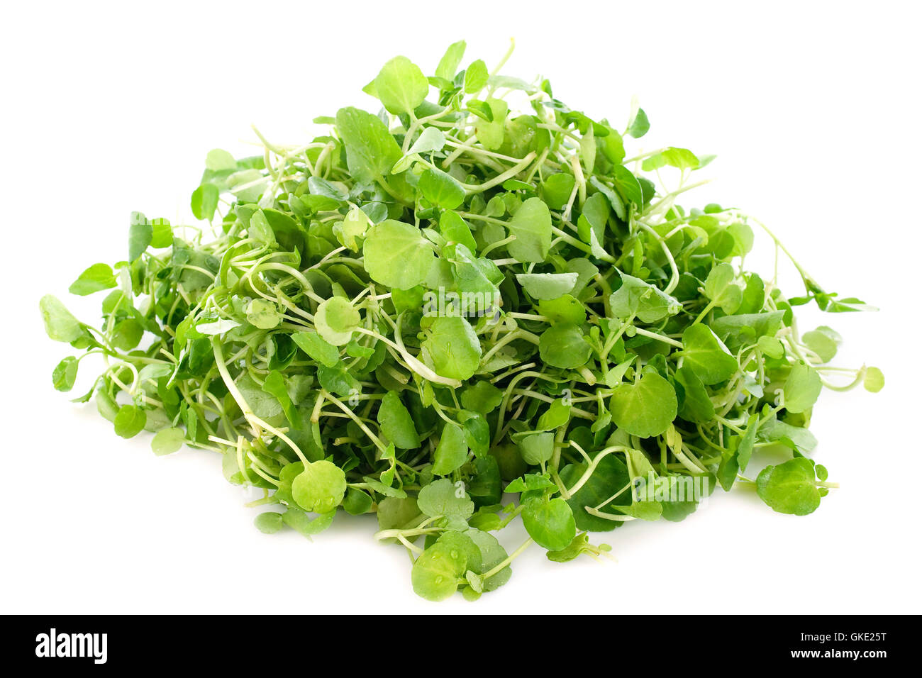 Verdure insalata di crescione Foto Stock