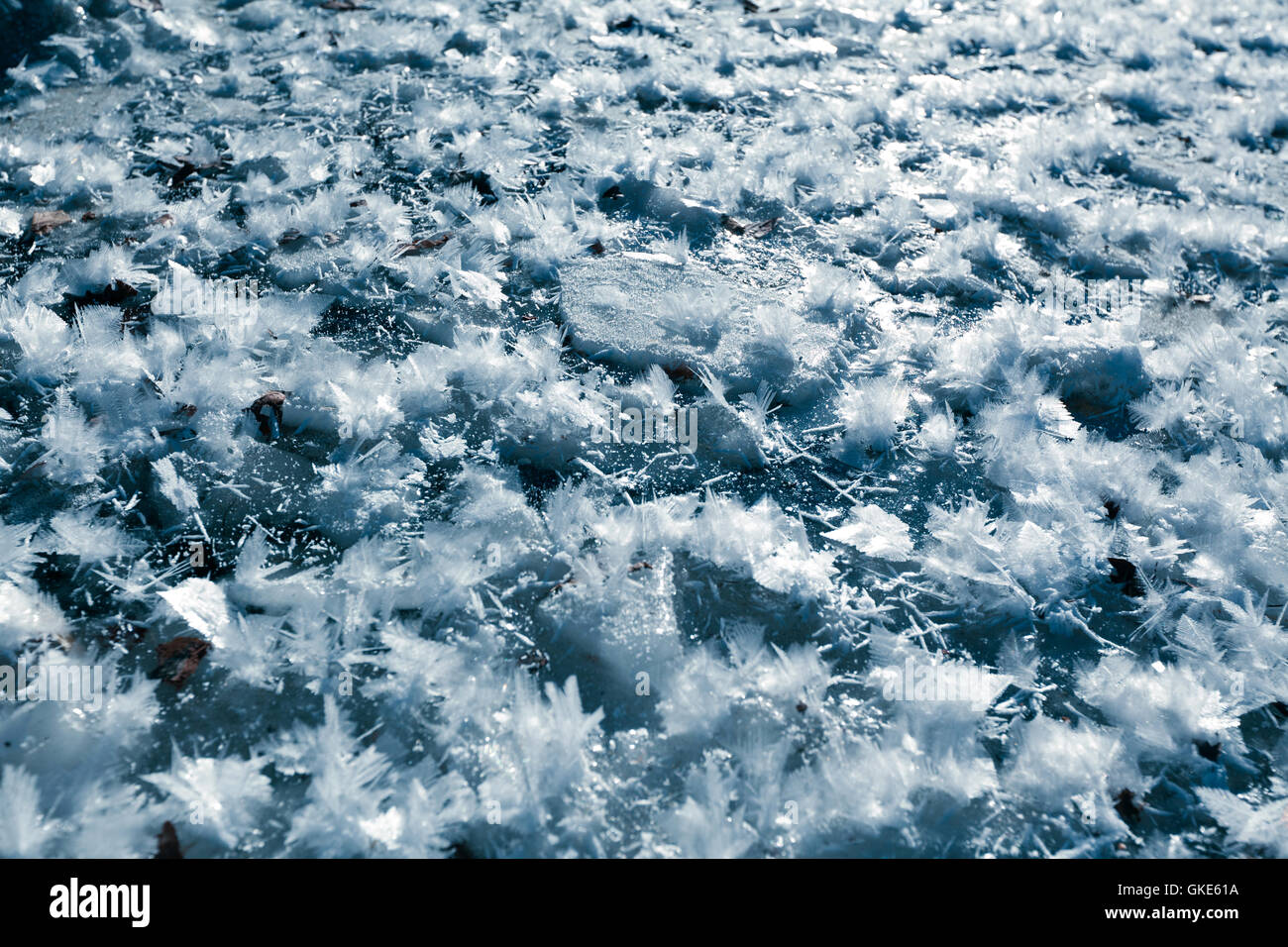 Fiocchi di neve ghiacciati Foto Stock