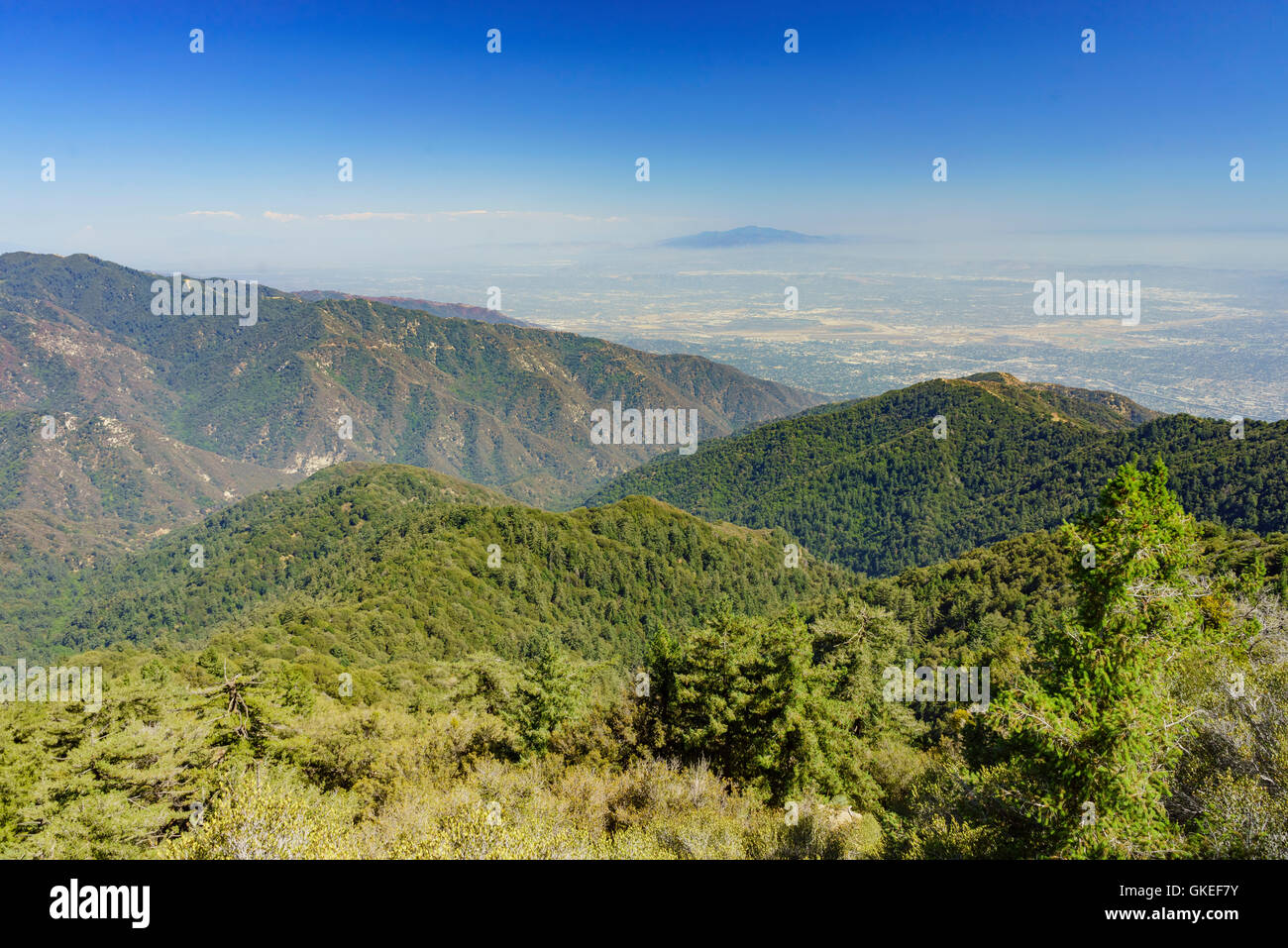Splendido paesaggio intorno al Mt. Wilson di Los Angeles Foto Stock