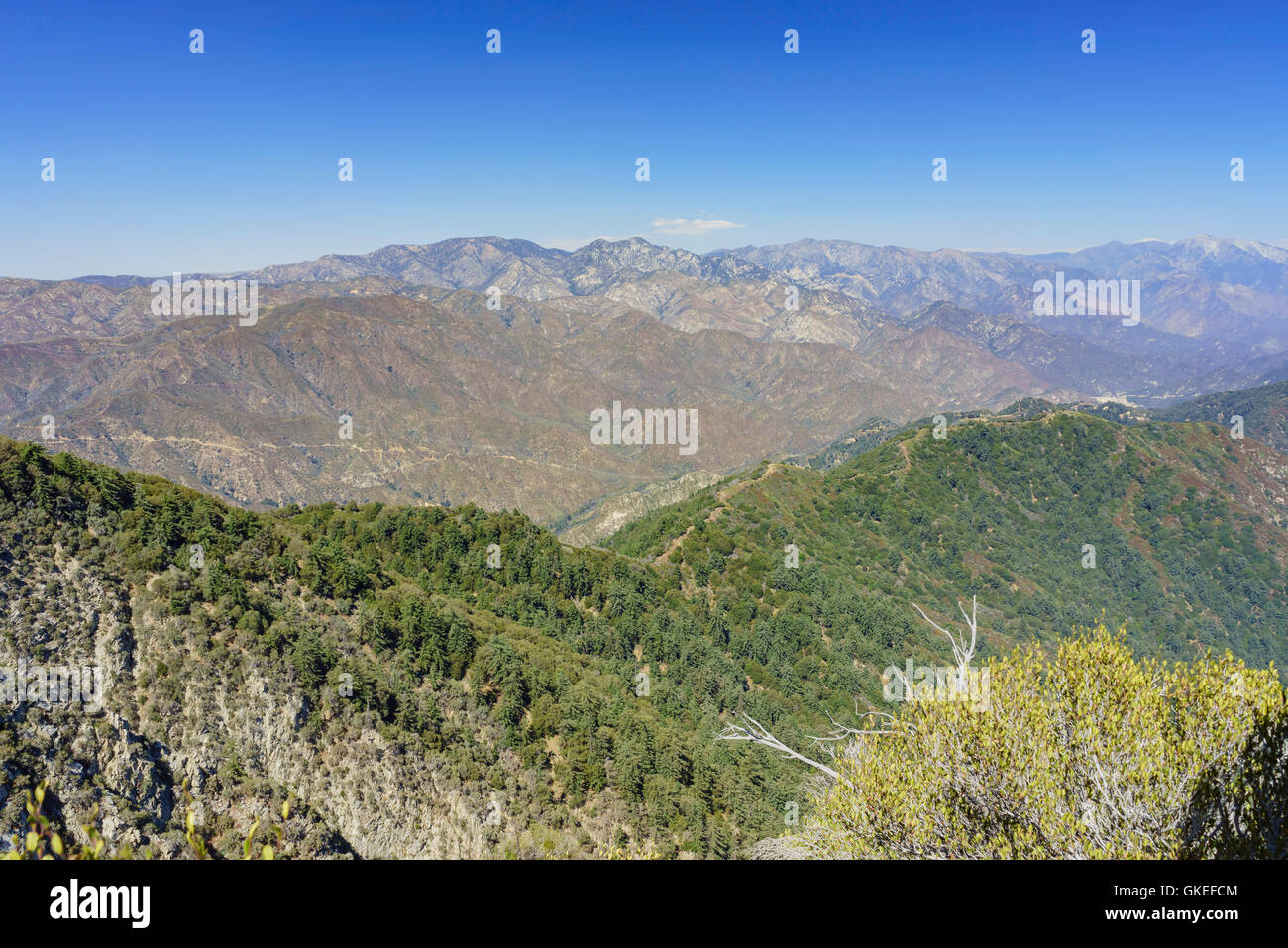 Splendido paesaggio intorno al Mt. Wilson di Los Angeles Foto Stock