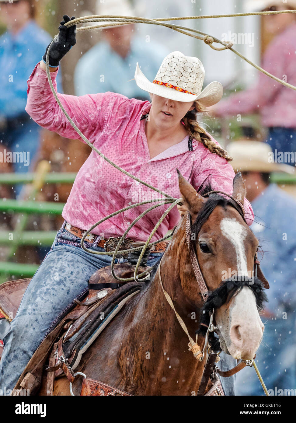 Rodeo cowgirl a cavallo in competizione in vitello, funi o tie-down roping evento, Chaffee County Fair & Rodeo, Salida, Colorado, STATI UNITI D'AMERICA Foto Stock