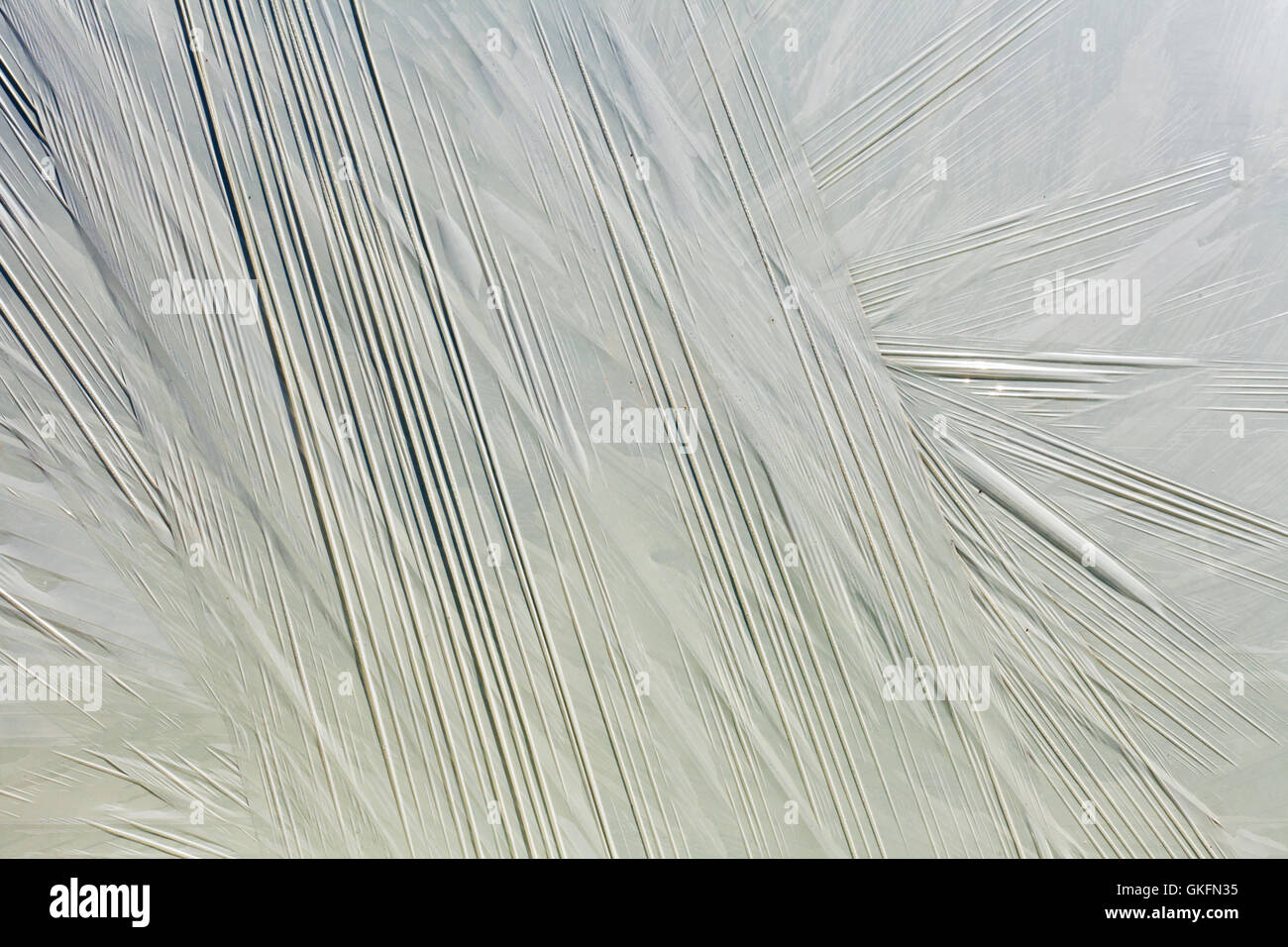 Balle di fieno-silo. Foto Stock