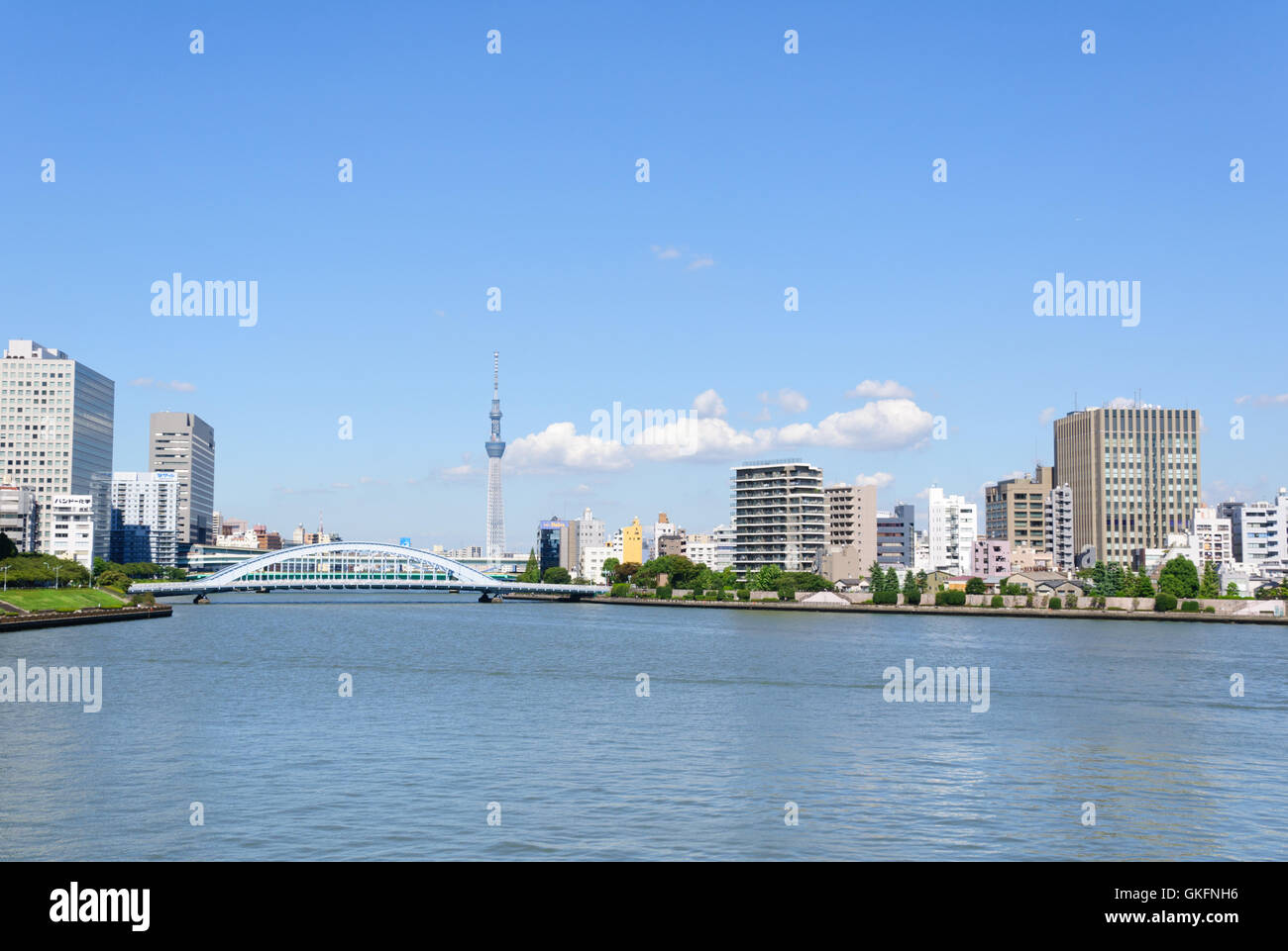 Tokyo, Giappone Foto Stock