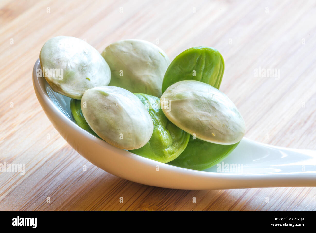 Parkia speciosa ( petai, amaro bean, ritorto bean di cluster, stinker o puzzano bean) con tazza bianca e cucchiaio Foto Stock