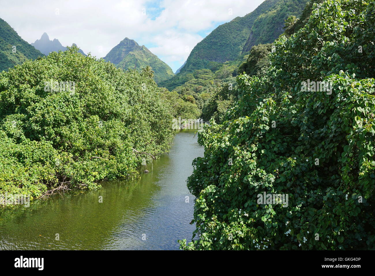 Tahiti iti paesaggio, il fiume e la valle Vaitepiha con le montagne sullo sfondo, Polinesia Francese Foto Stock