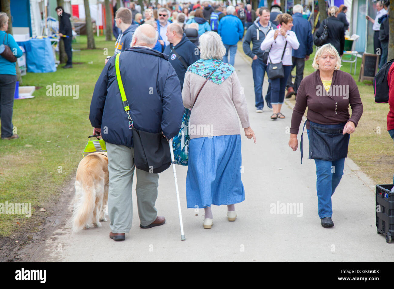 Southport Flower Show, Merseyside, Regno Unito. 21 AGO 2016: Come il bel tempo torna su il Southport Flower Show, la folla gregge in per l'odierna grande vendere. I fantastici quattro giorni di evento orticola si chiude oggi nel tardo pomeriggio con occasioni a bizzeffe in palio. Da prodotti di artigianato e abbigliamento per il la maggior parte delle piante esotiche, c'è davvero qualcosa per tutti. I bambini sono intrattenuti da 'Sonny & Arcobaleno" come i genitori possono sorseggiare il prosecco al sole. Credito: MediaWorld Immagini/Alamy Live News Foto Stock