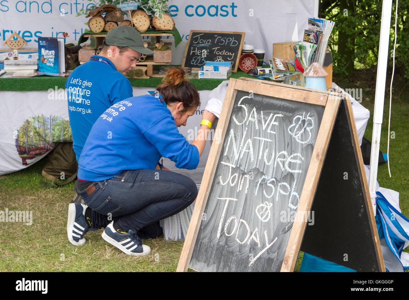 Southport Flower Show, Merseyside, Regno Unito. 21 AGO 2016: Come il bel tempo torna su il Southport Flower Show, la folla gregge in per l'odierna grande vendere. I fantastici quattro giorni di evento orticola si chiude oggi nel tardo pomeriggio con occasioni a bizzeffe in palio. Da prodotti di artigianato e abbigliamento per il la maggior parte delle piante esotiche, c'è davvero qualcosa per tutti. I bambini sono intrattenuti da 'Sonny & Arcobaleno" come i genitori possono sorseggiare il prosecco al sole. Credito: Cernan Elias/Alamy Live News Foto Stock