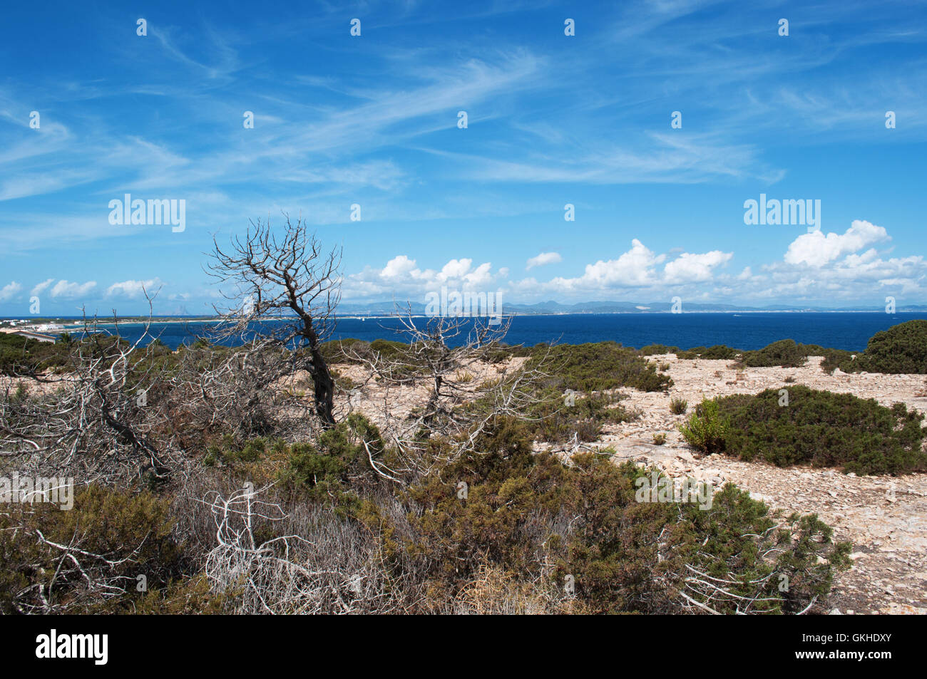 Formentera, isole Baleari: vista della macchia mediterranea in campagna Foto Stock