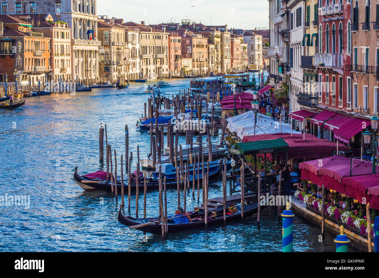 Canal Grande vicino al Ponte di Rialto, Venezia, Veneto, Italia. Foto Stock