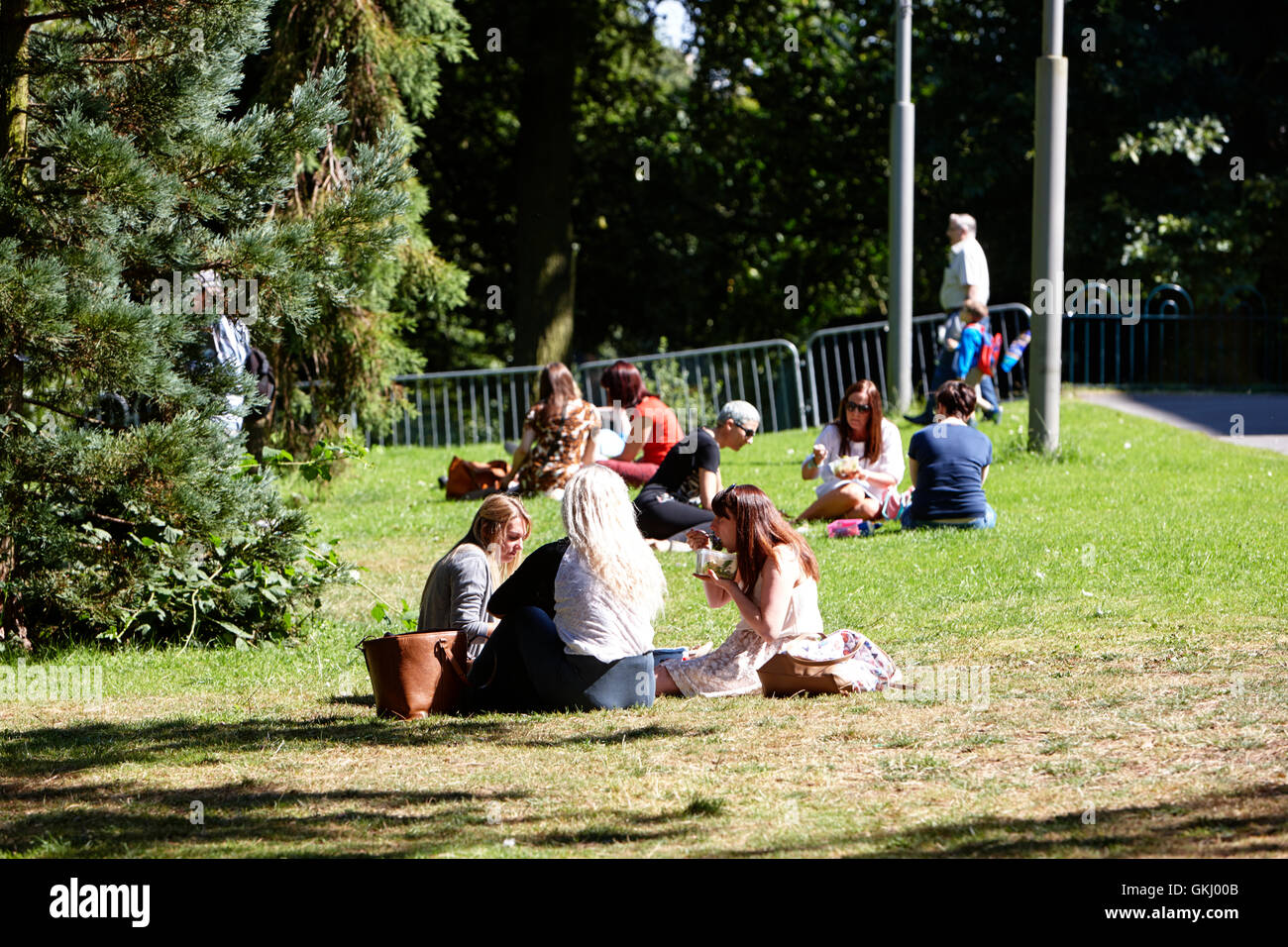 Le persone aventi il pranzo seduti su erba in giardini botanici belfast Foto Stock
