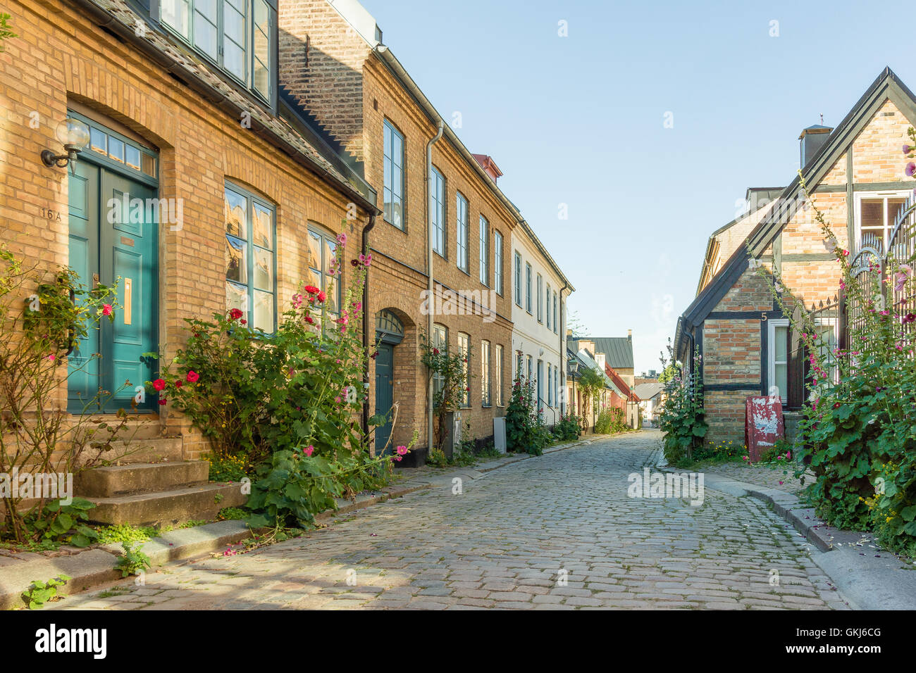 Vicolo romantico con ciottoli, rose e vecchie case nella città vecchia di Lund, Svezia Foto Stock