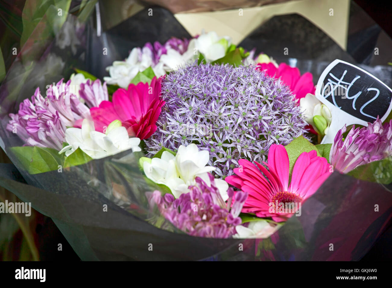 Bouquet di Amsoniya, gerbera, fresia per la vendita Foto Stock