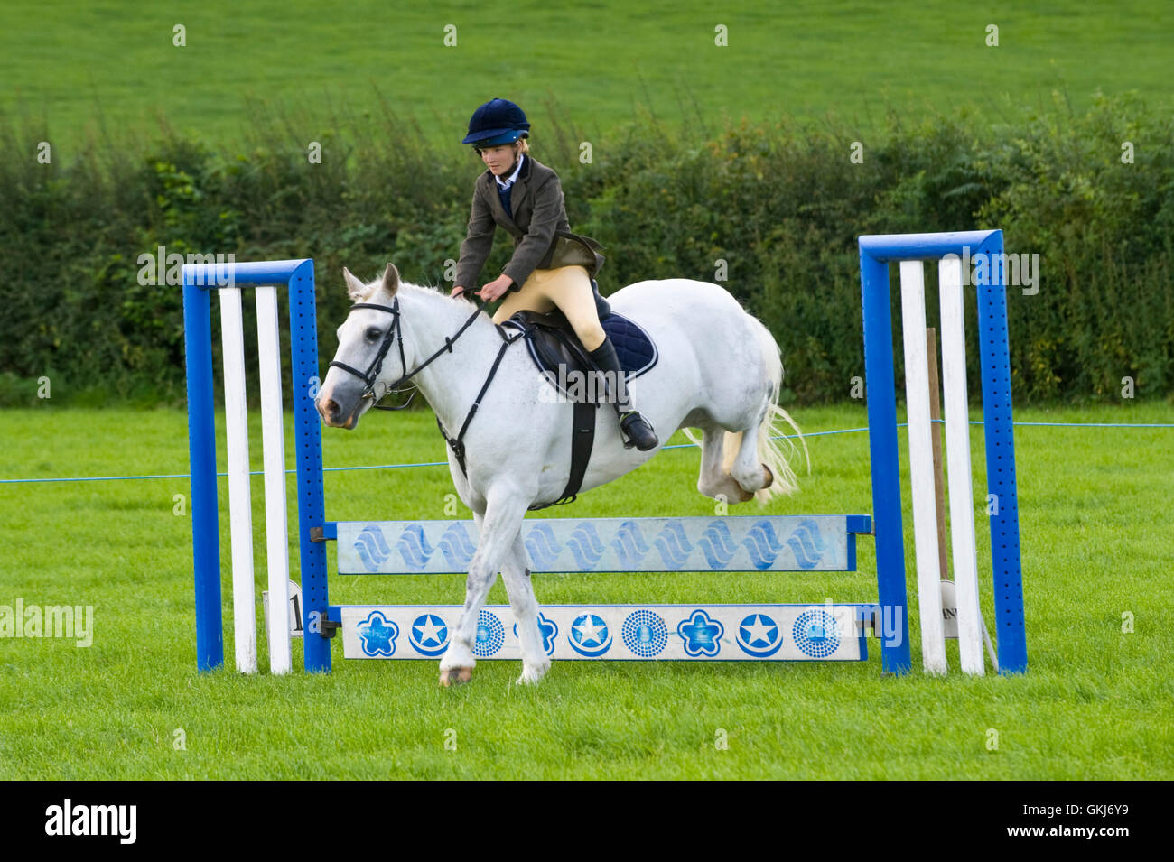 Ragazza adolescente show jumping sul suo pony a Llanigon YFC Show 2016 nr Hay-on-Wye Powys Wales UK Foto Stock