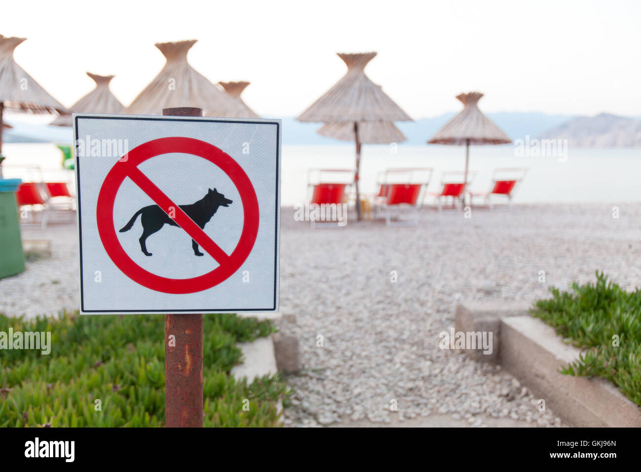 Nessuna voce. segni annunciano il divieto cani sulla spiaggia. (Shallow dof) focus sulla marca sfondo sfocato. Foto Stock