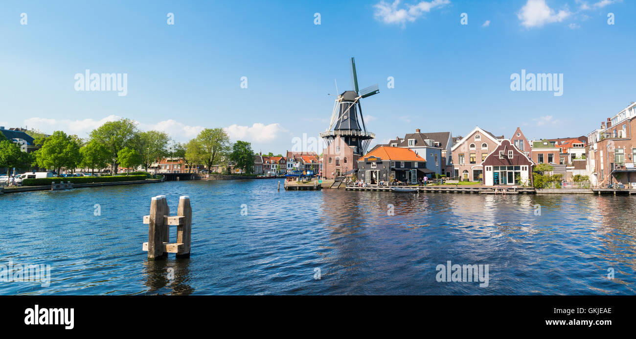 Panorama del fiume Spaarne con mulino a vento Adriaan e waterfront cafe, Haarlem, Paesi Bassi Foto Stock