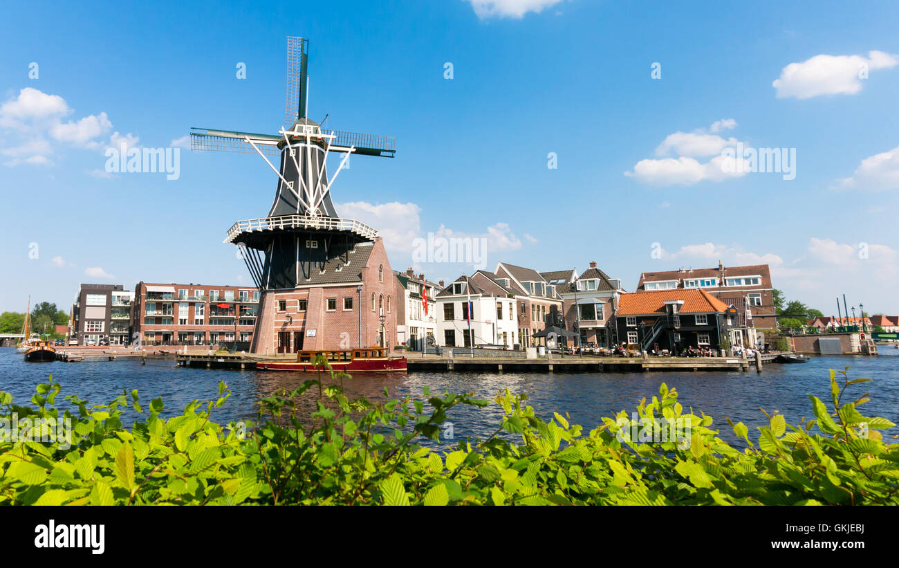 Vecchio mulino Adriaan e fiume Spaarne panorama di Haarlem, Olanda, Paesi Bassi Foto Stock