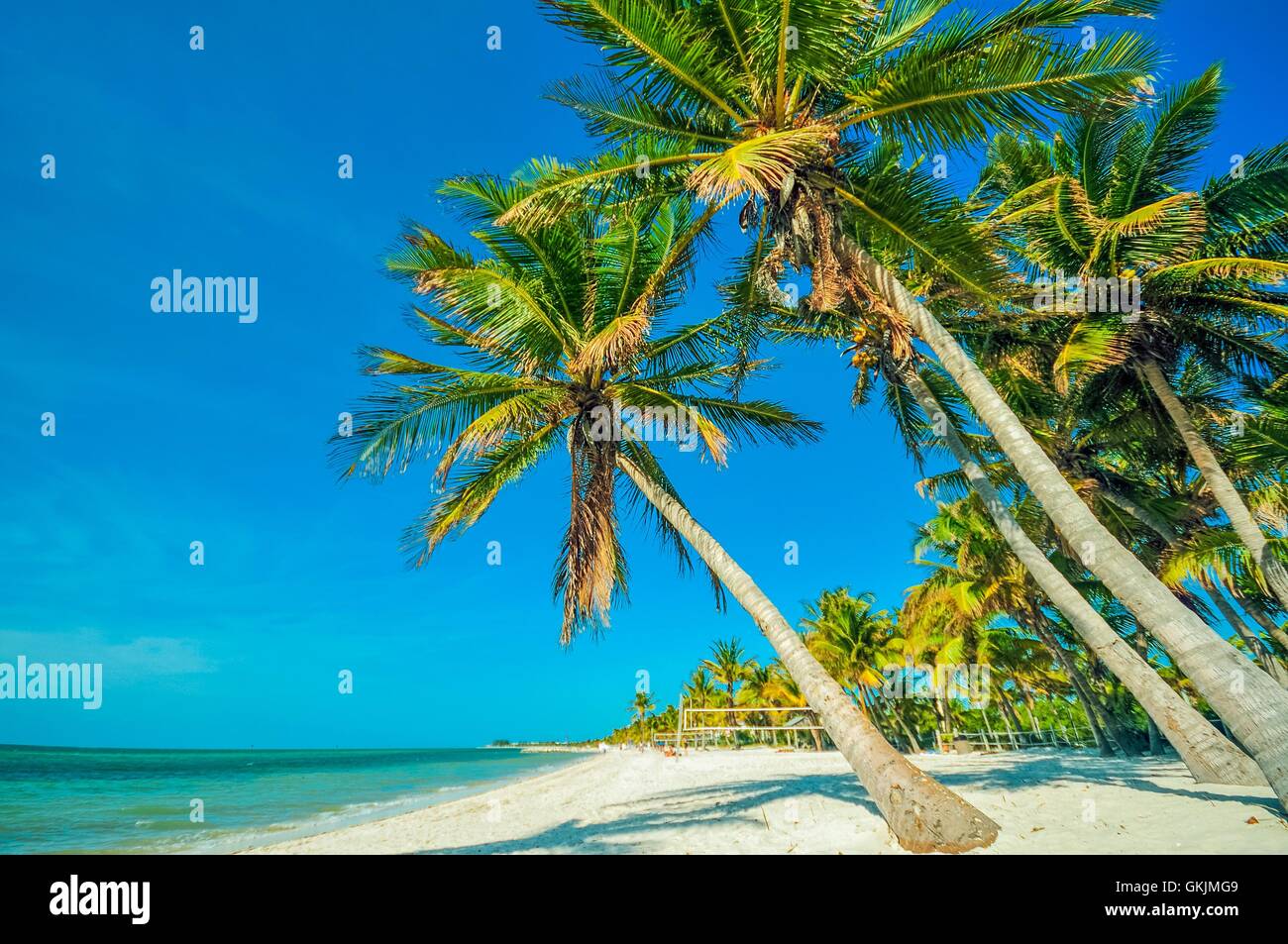 Spiaggia tropicale con palme. Bellissima spiaggia, palme e l'oceano paesaggio. Destinazione tropicale tema. Foto Stock