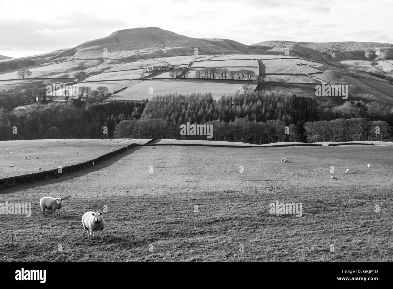 Foto in bianco e nero di un tipico paesaggio del Parco Nazionale di Peak District. Foto Stock