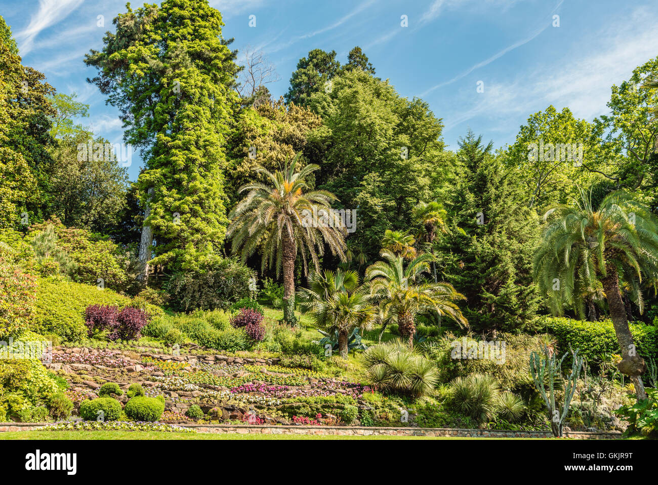 Giardino Vecchio presso il Giardino Botanico di Villa Carlotta, Tremezzina, Lago di Como, Lombardia, Italia Foto Stock