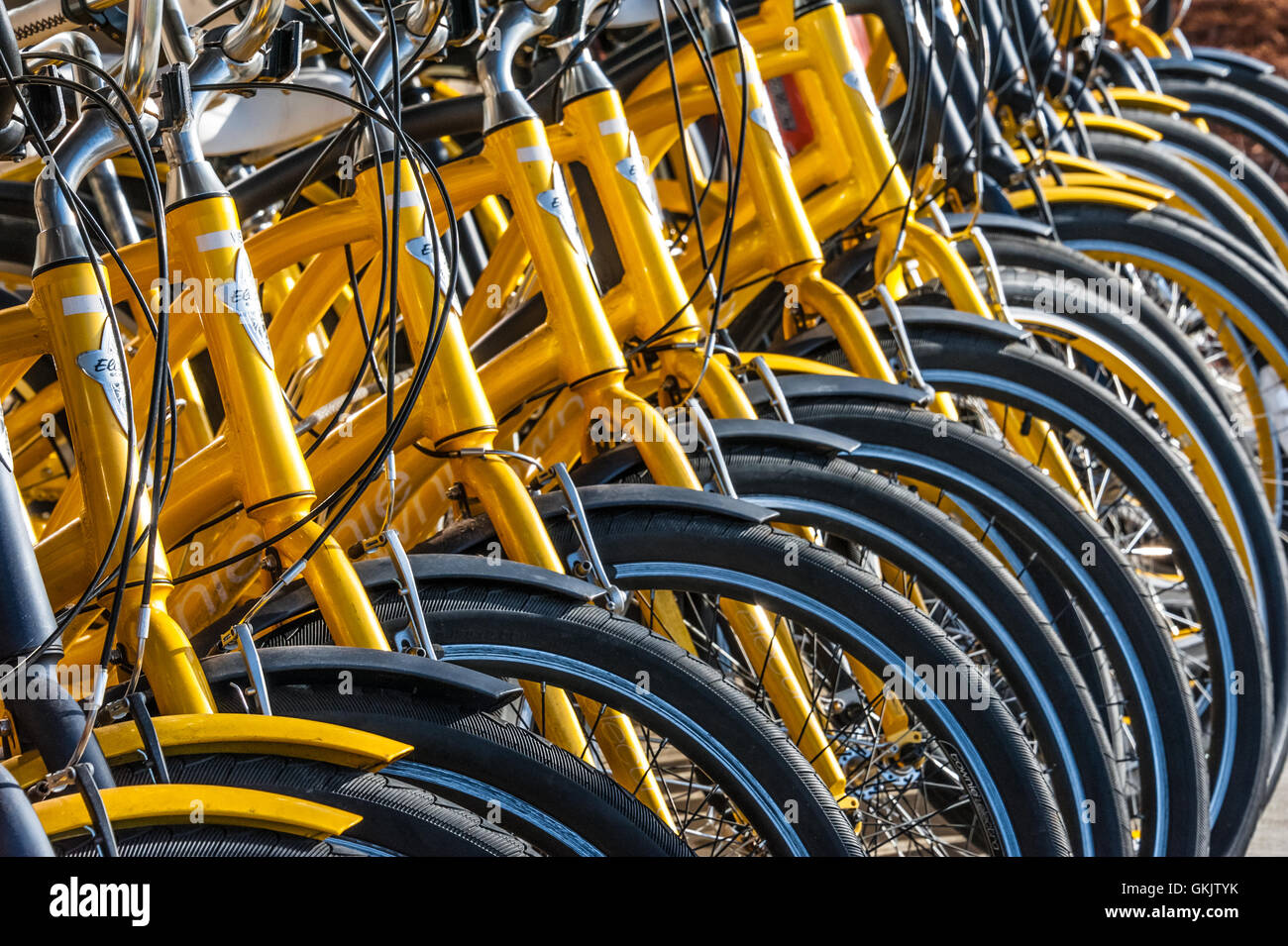 Il giallo il noleggio biciclette allineate su un marciapiede in centro nella bellissima Columbus, Georgia. (Usa) Foto Stock