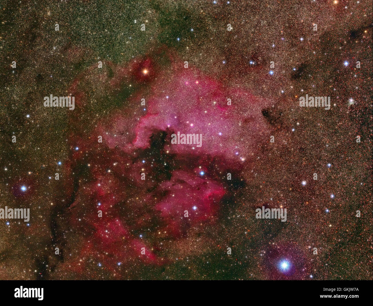 Nord America e Pellicano nebulosa nella costellazione del Cigno Foto Stock