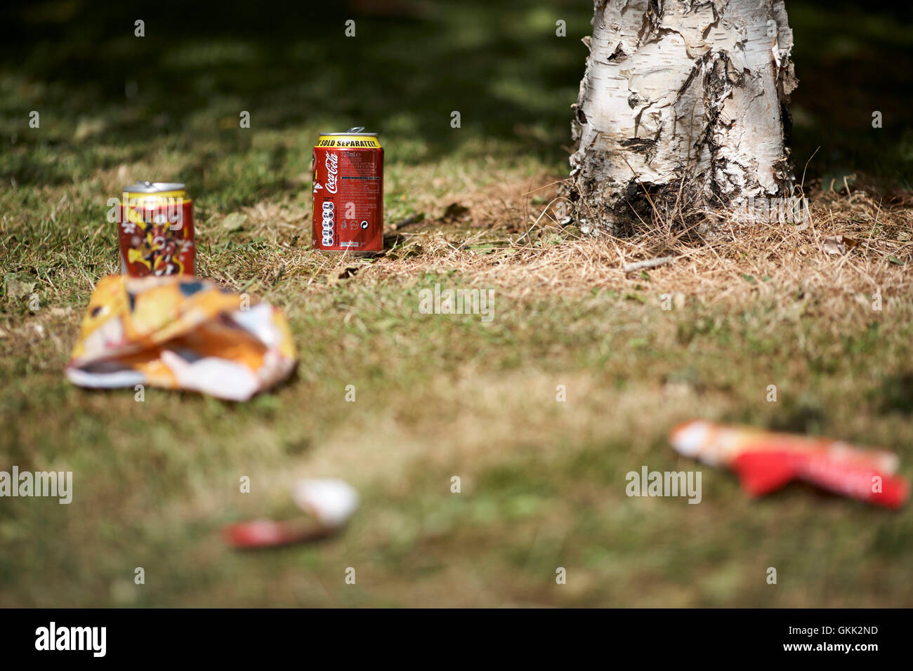 Lattine di coca e di altri rifiuti sinistra dietro dopo un picnic estivo Foto Stock