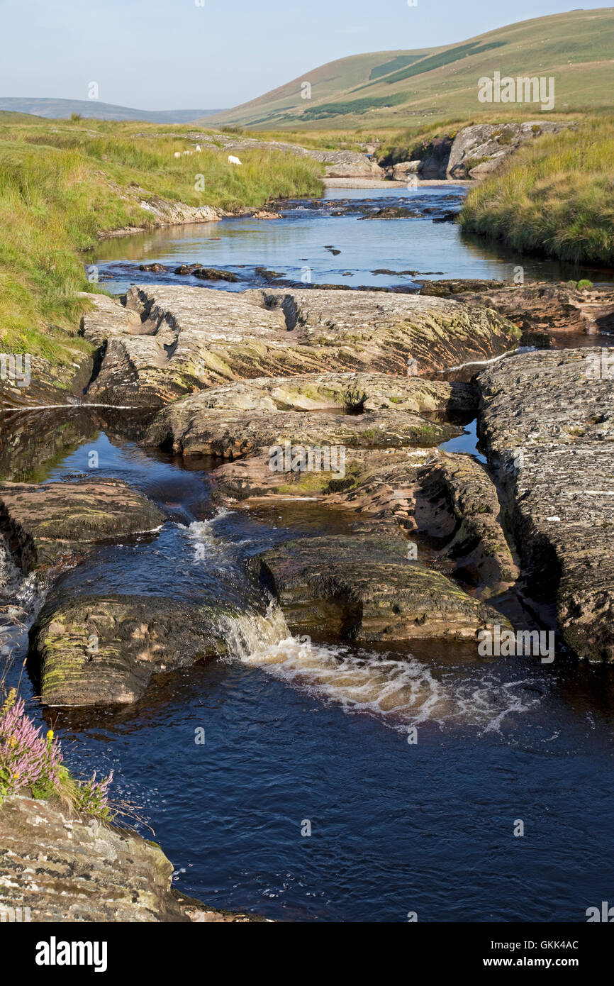 Le rocce sedimentarie in Afon Elan fiume che scorre attraverso il Cambrian montagne vicino Blaenycwn Powys Galles Centrale Foto Stock