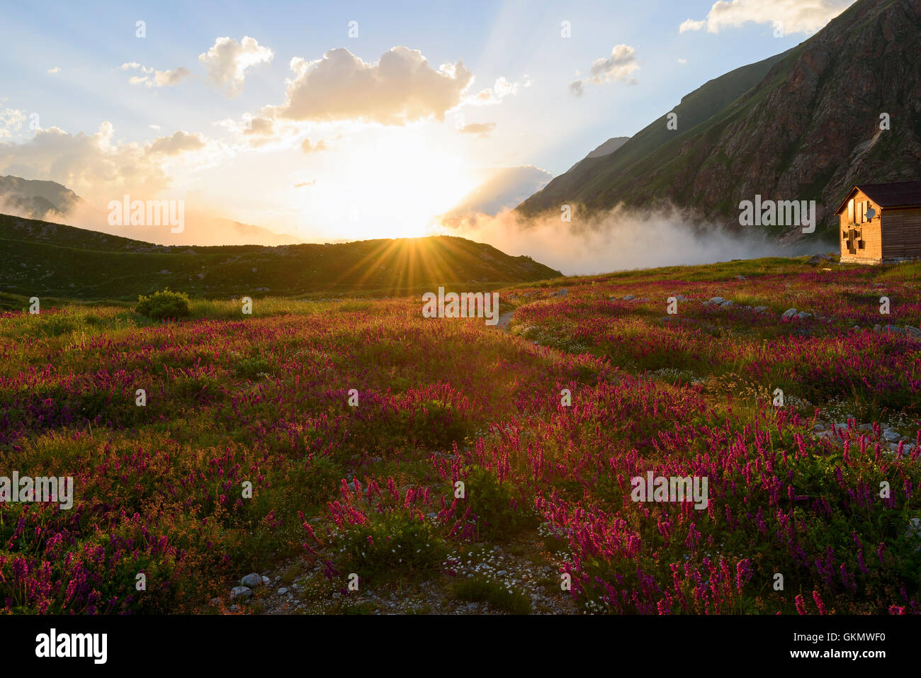 Rifugio di montagna sul campo di fioritura in raggi di sole al tramonto Foto Stock