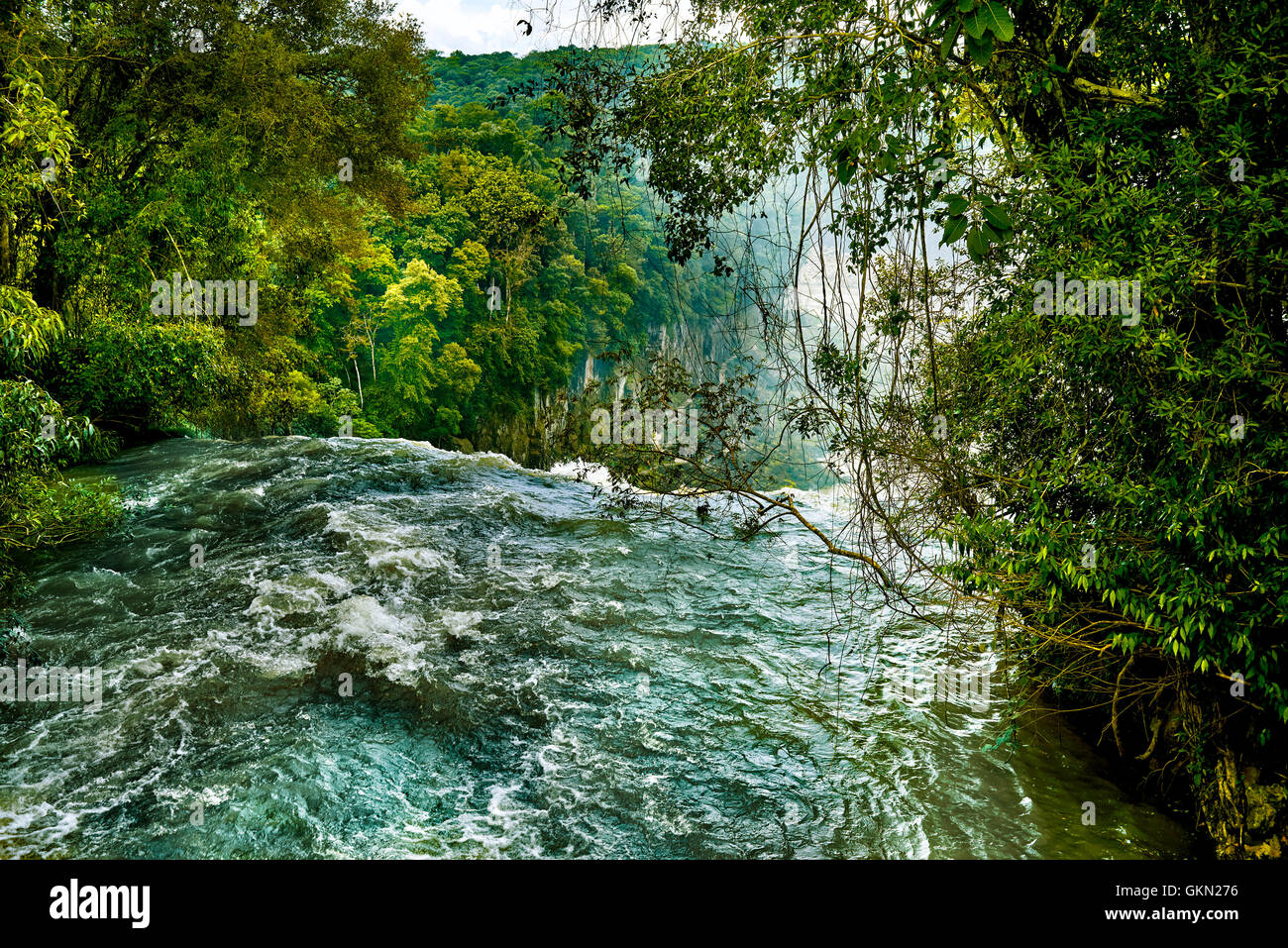 Iguazu Falls (aka Iguassu Falls o Cataratas del Iguazú), Provincia Misiones, Argentina Foto Stock