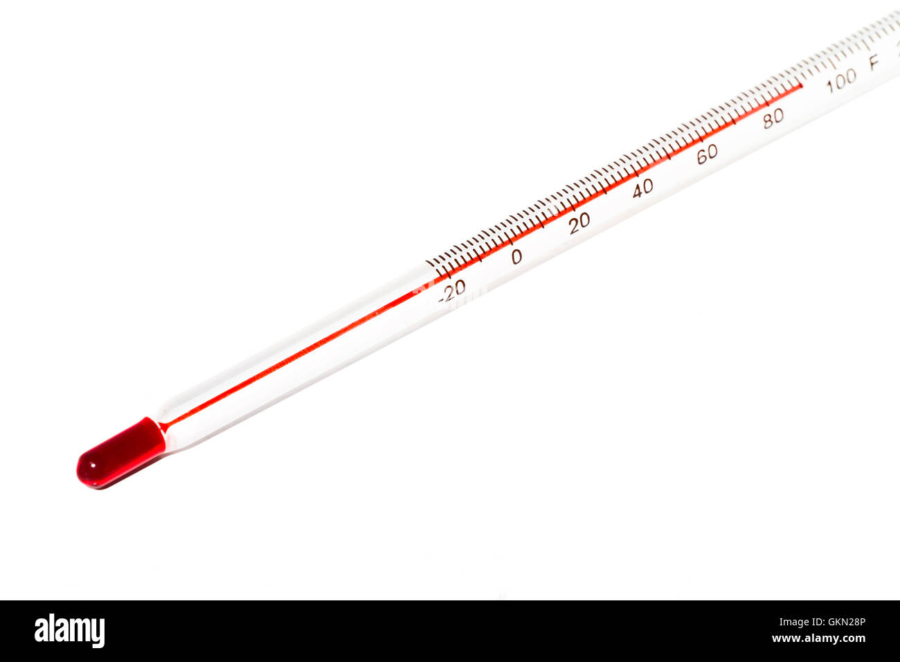 Termometro con scala Fahrenheit Foto Stock