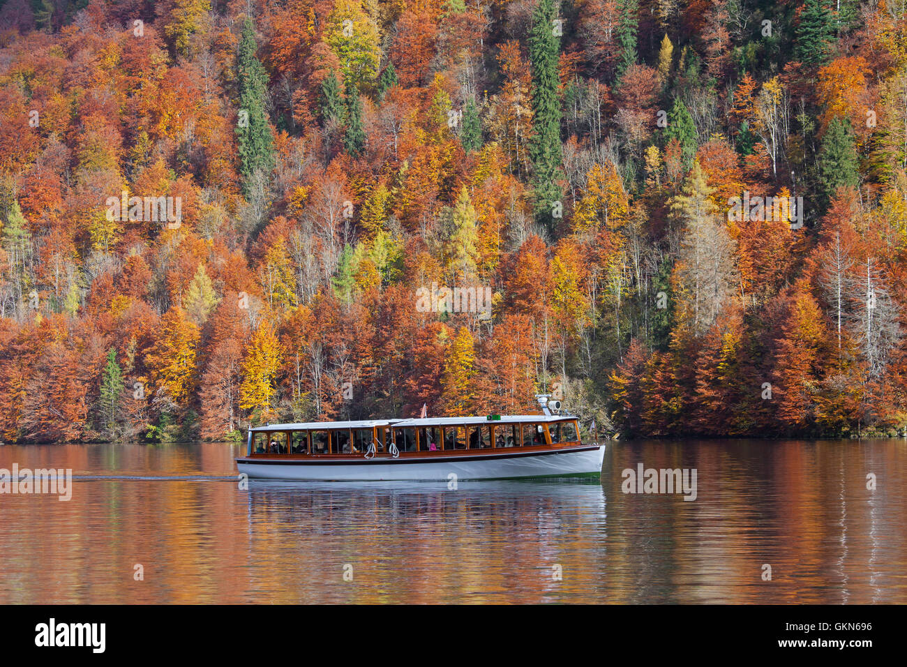 La barca turistica sul Königssee / Kings lago in autunno, Parco Nazionale di Berchtesgaden, Alpi Bavaresi, Baviera, Germania Foto Stock