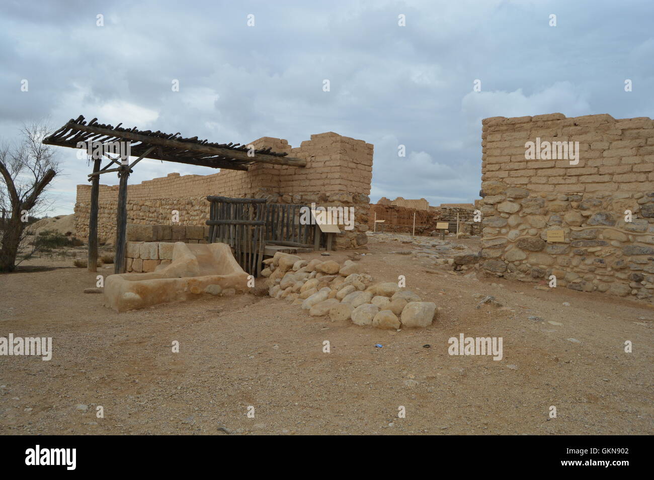 Beersheba, il deserto del Negev, Israele Foto Stock