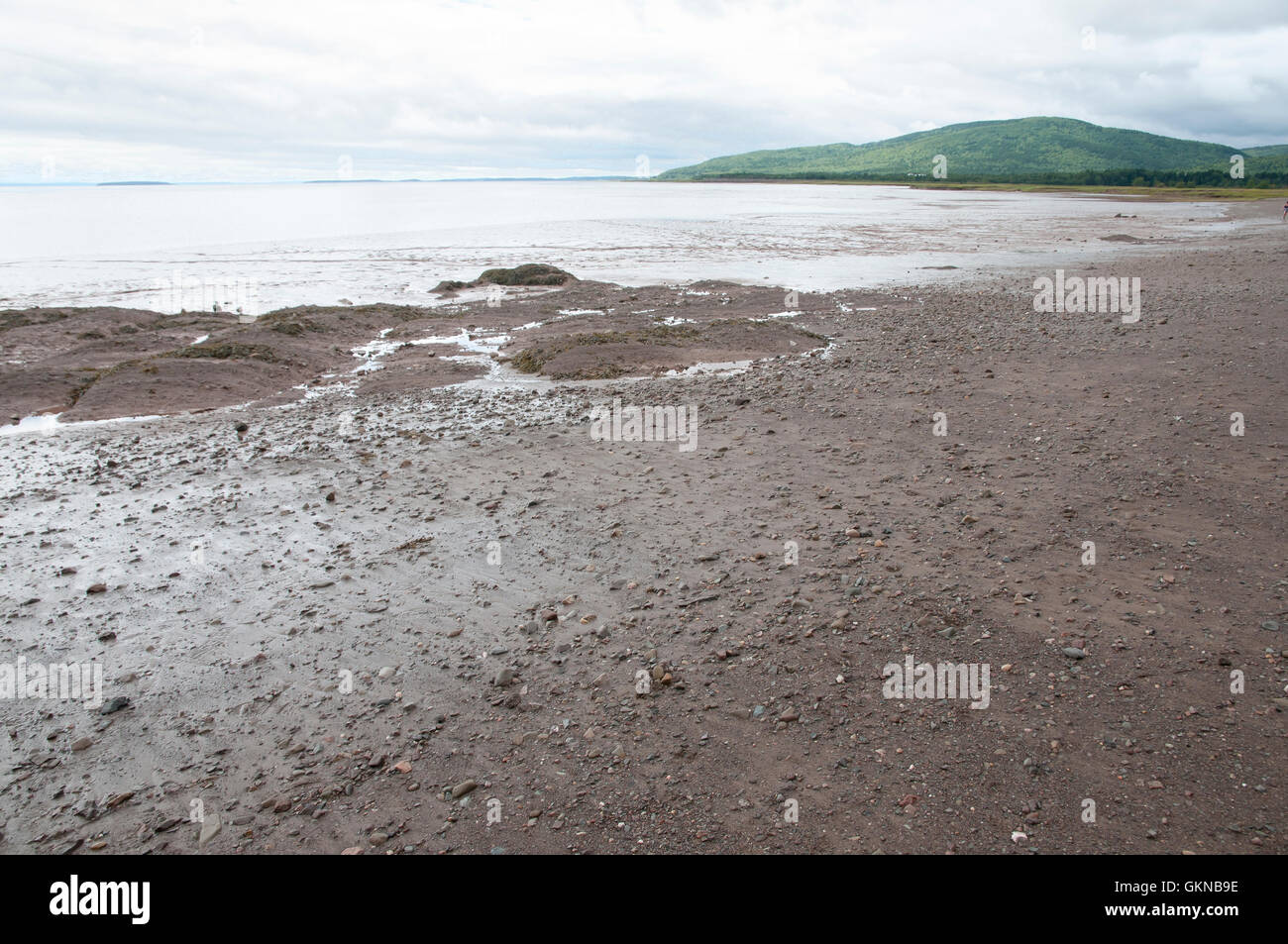 La Bassa Marea Beach sulla Baia di Fundy - New Brunswick - Canada Foto Stock