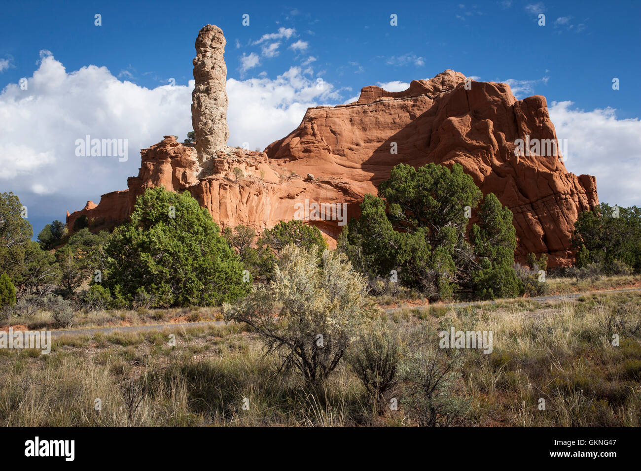 Le formazioni rocciose in Kodachrome Basin Parco dello stato dello Utah Foto Stock