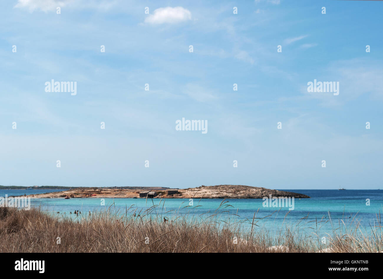 Formentera, isole Baleari: vista della spiaggia di Ses Illetes, una delle più famose spiagge dell'isola Foto Stock