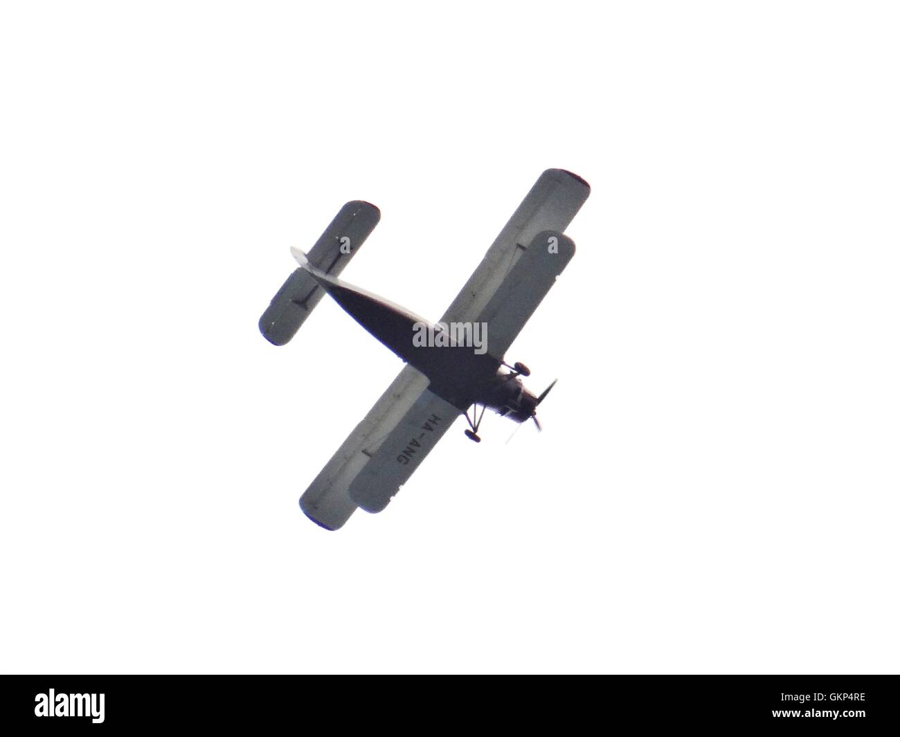 Bournemouth, Regno Unito. 21 Ago, 2016. Le Tigri del paracadute e del Team Red Devils sul display a Bournemouth Air Festival 2016. Credito: Nastia M/Alamy Live News Foto Stock