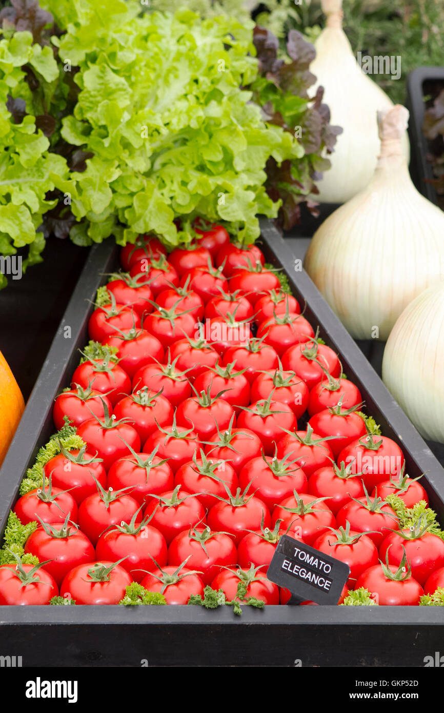 Savvy Shoppers, Southport, Merseyside, Regno Unito. 21 AGO 2016: Come il buon tempo restituisce oltre il Southport Flower Show, la folla gregge in per gli odierni comuni di frutta e verdura grandi vendere. I fantastici quattro giorni di evento orticola con disegni geometrici frutto di modelli e forme disposte & arte vettoriale si chiude oggi nel tardo pomeriggio con occasioni a bizzeffe in palio. Foto Stock