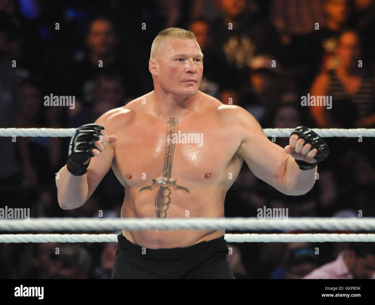 New York, Stati Uniti d'America. 21 Agosto, 2016. Brock Lesnar battaglie Randy Orton a WWE SummerSlam 2016 presso la Barclays Center su agosto 21 , 2016 a Brooklyn, New York. Photo credit: John Palmer/ MediaPunch Credito: MediaPunch Inc/Alamy Live News Foto Stock