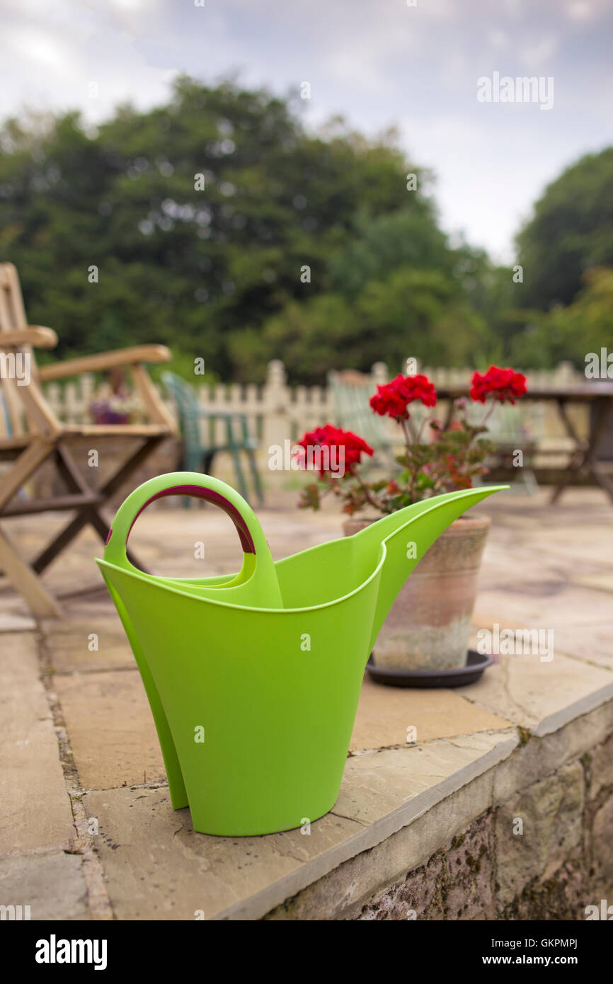Verde elegante annaffiatoio. Foto Stock