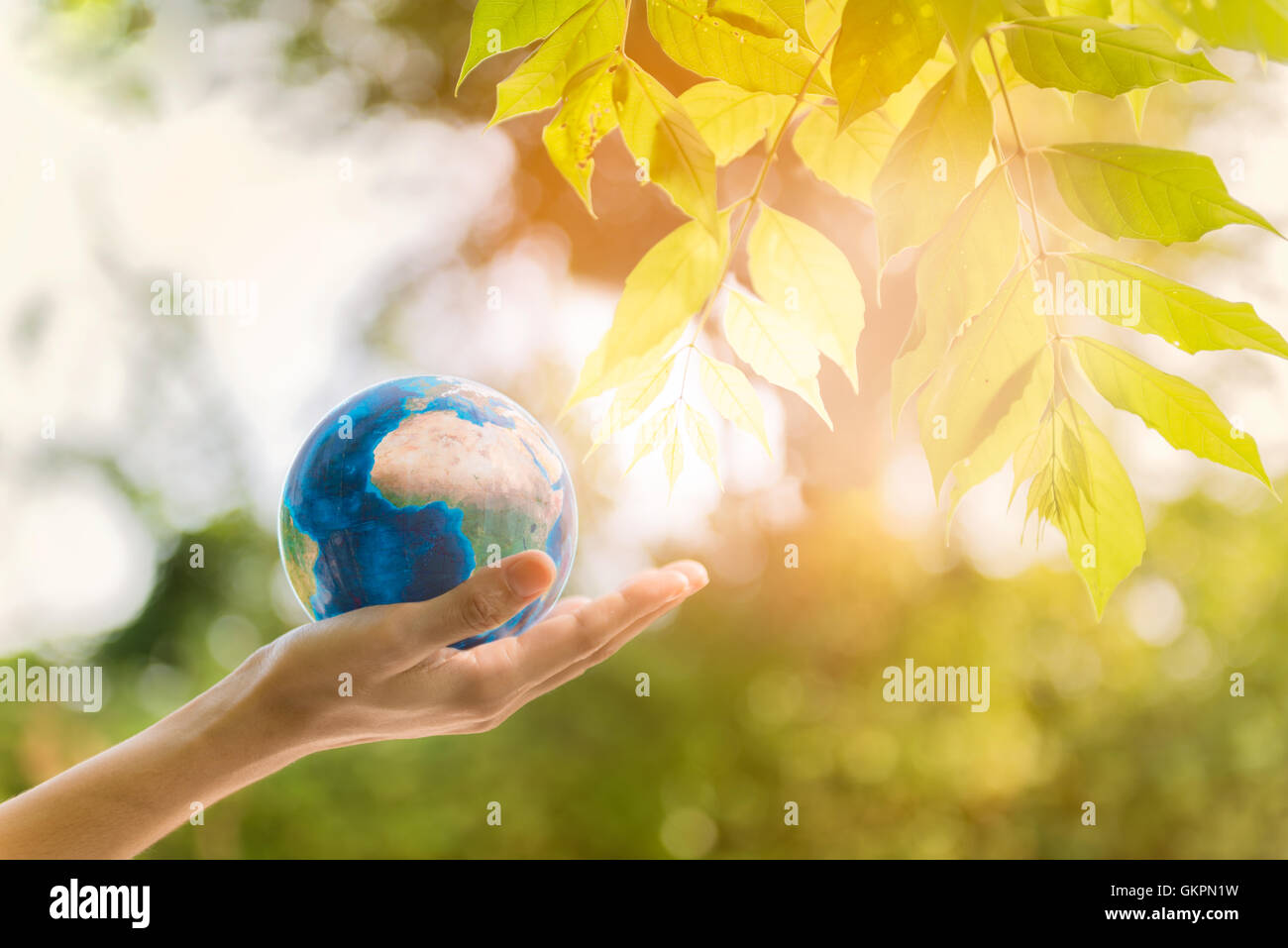 Azienda pianeta terra in mano con struttura ad albero e contro la molla verde dello sfondo. La responsabilità sociale delle imprese o il concetto di RSI. Foto Stock