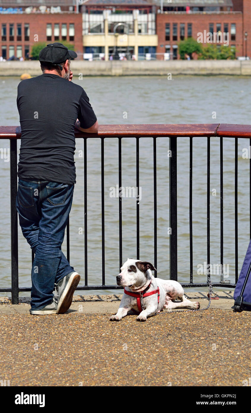 Londra Inghilterra, Regno Unito. Uomo con una Staffordshire Bull Terrier (eventualmente croce), fumatori, sulla riva sud del Tamigi Foto Stock