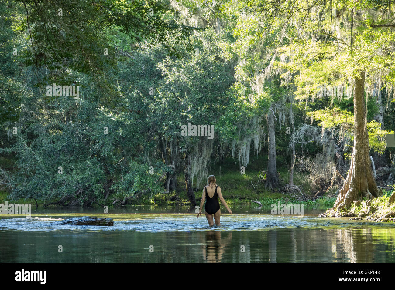 Donna matura guadare in acqua dove le molle Poe eseguire incontra la Santa Fe river, Gilchrist County, Florida Foto Stock