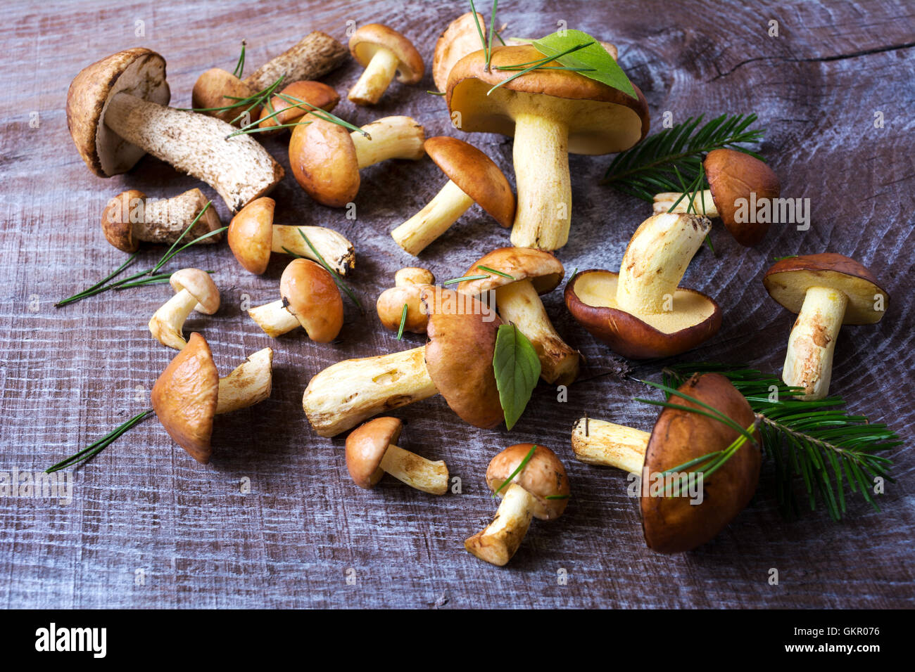 Funghi di Bosco sul legno rustico sfondo. Crudo fresco funghi sulla tabella. Foto Stock