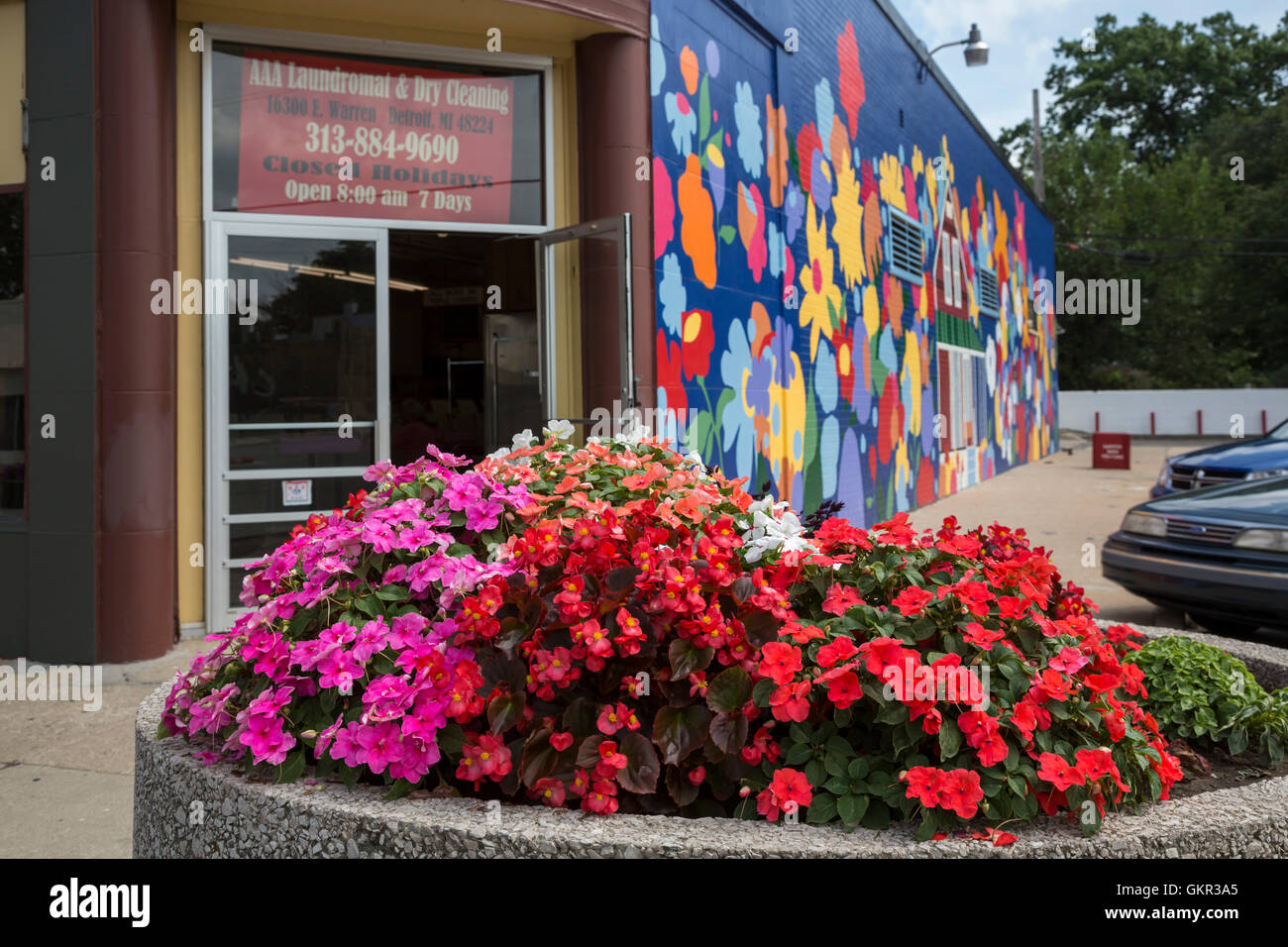 Detroit, Michigan - Fiori in una piantatrice sulla città e sul suo lato orientale di fronte illustrazioni di fiori su una parete. Foto Stock